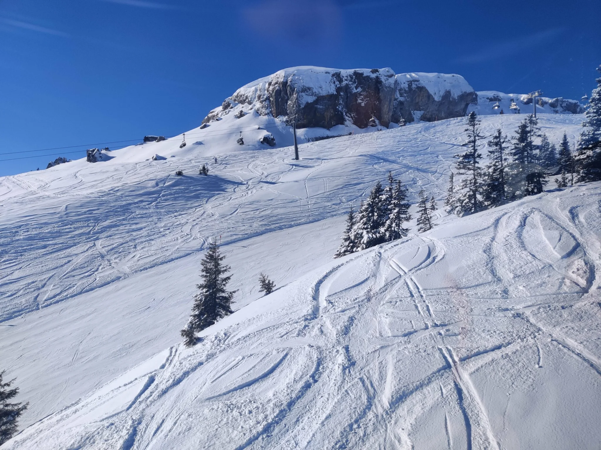 Ski-WE Rover 2024