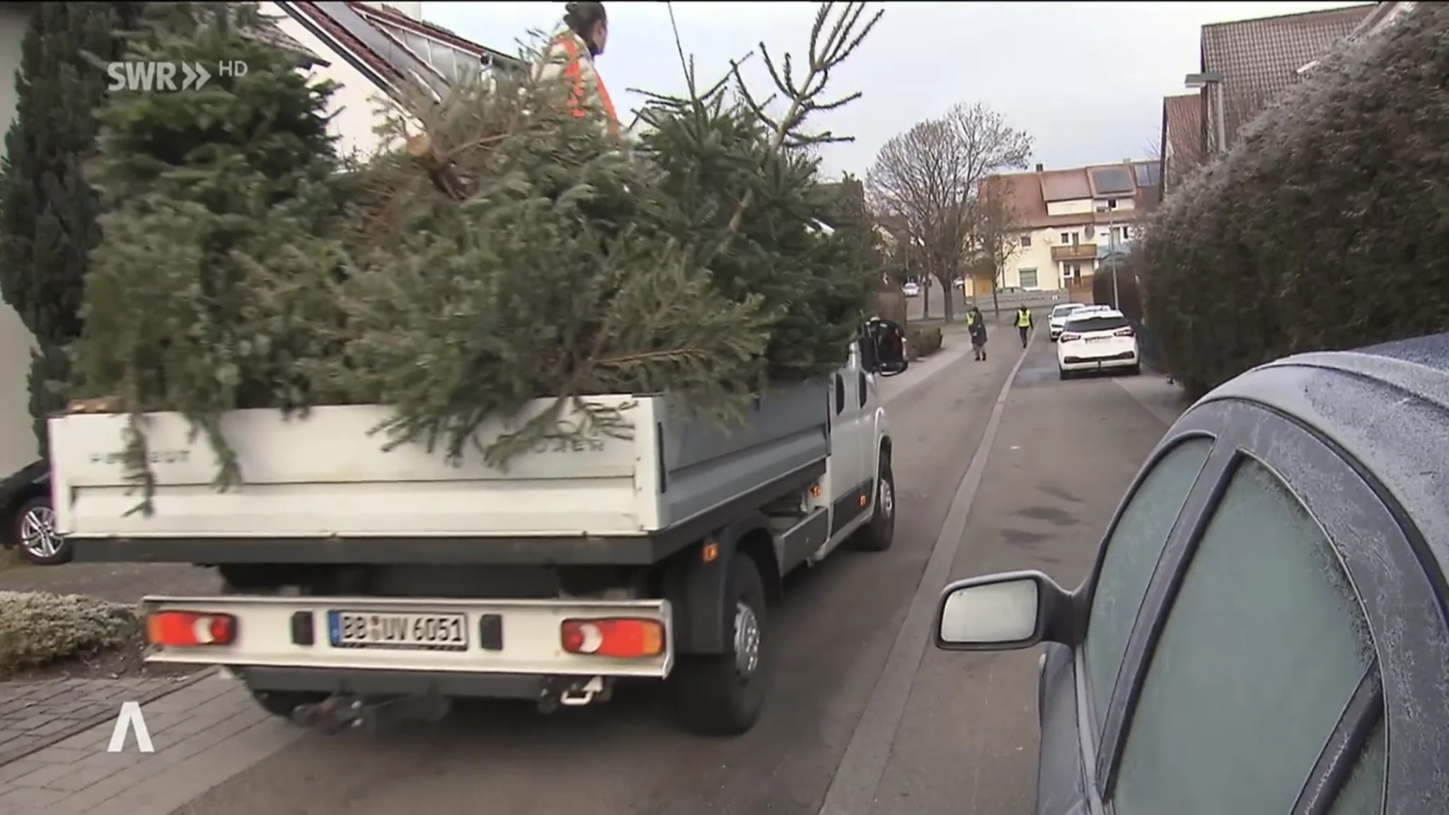SWR Aktuell zur Tannenbaumsammlung