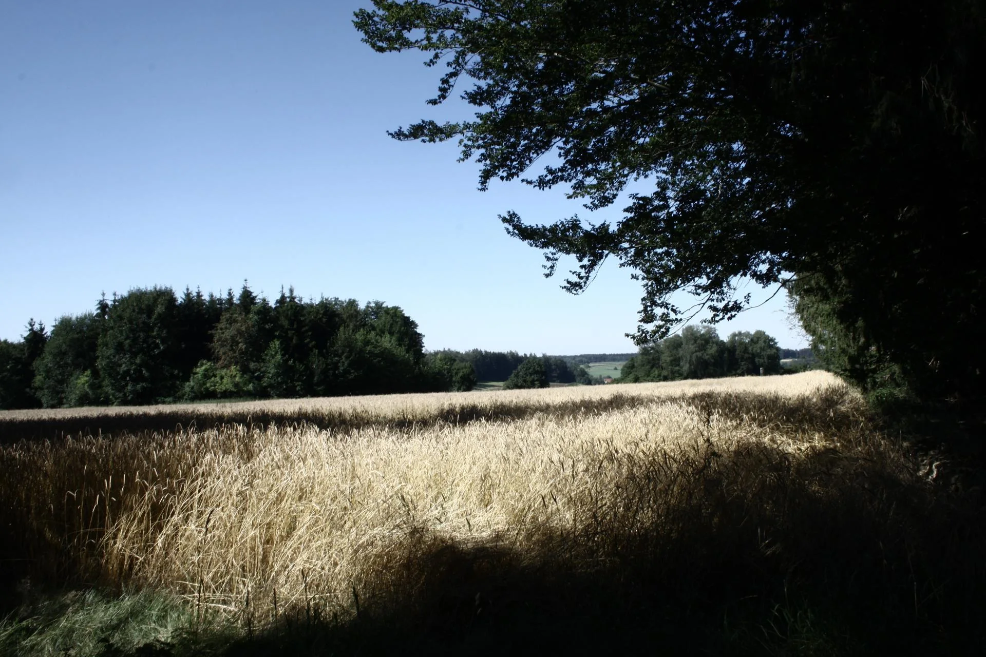 Sommerlager 2015