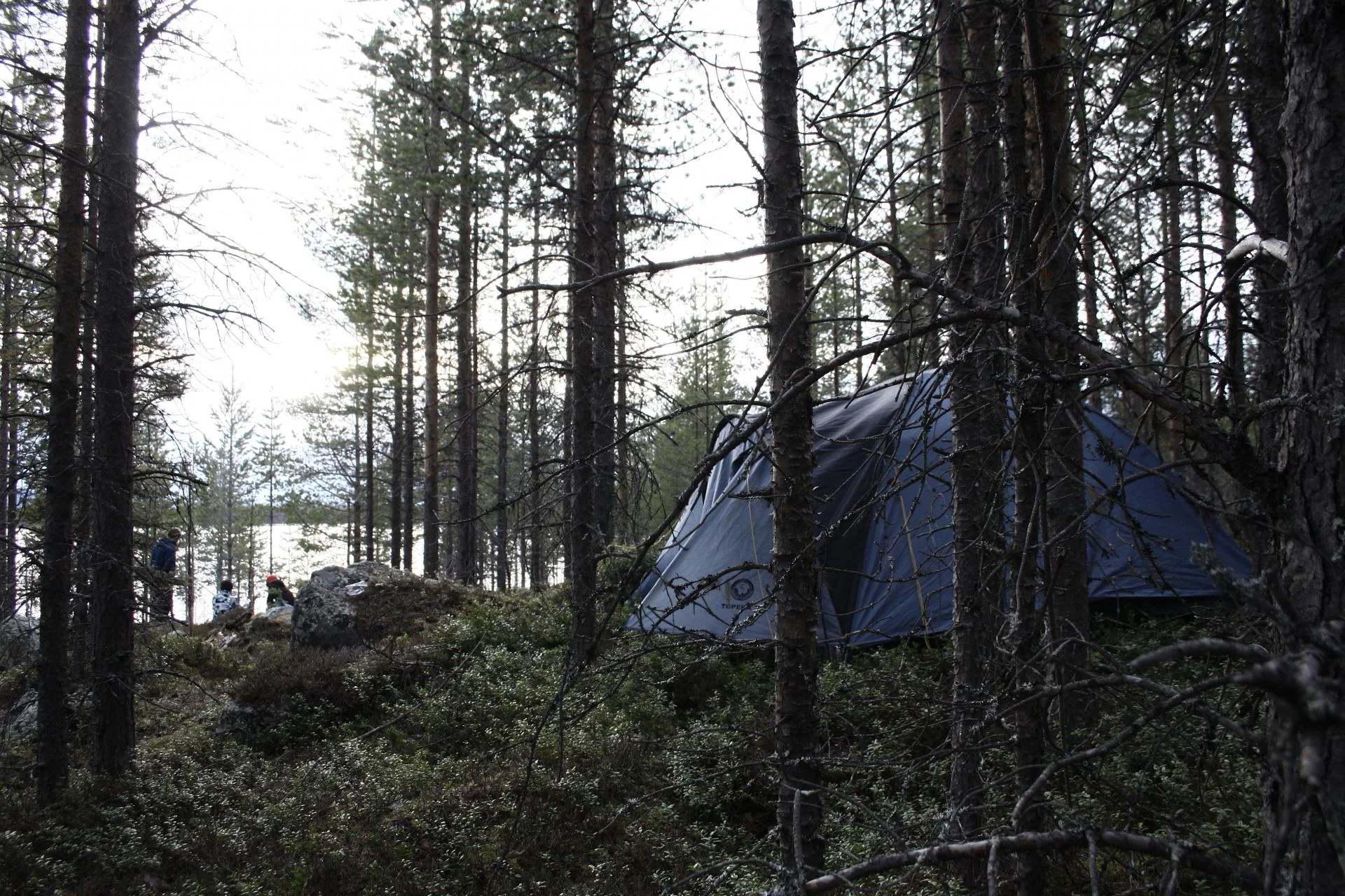 Lappland 2016