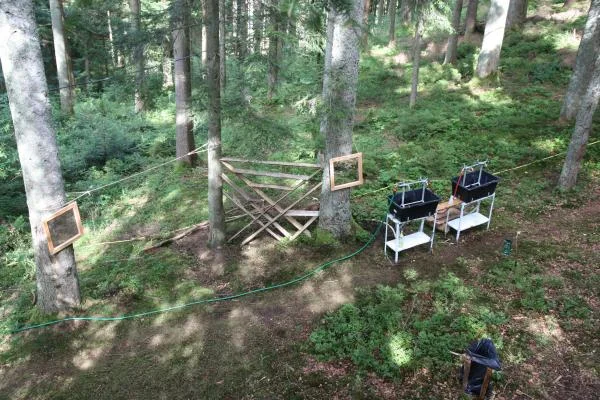 Sommerlager 2012