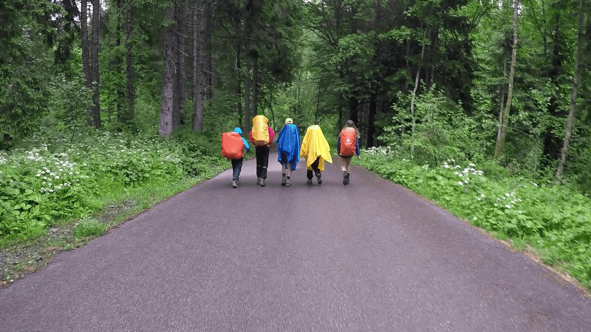 Jupfitour 2019