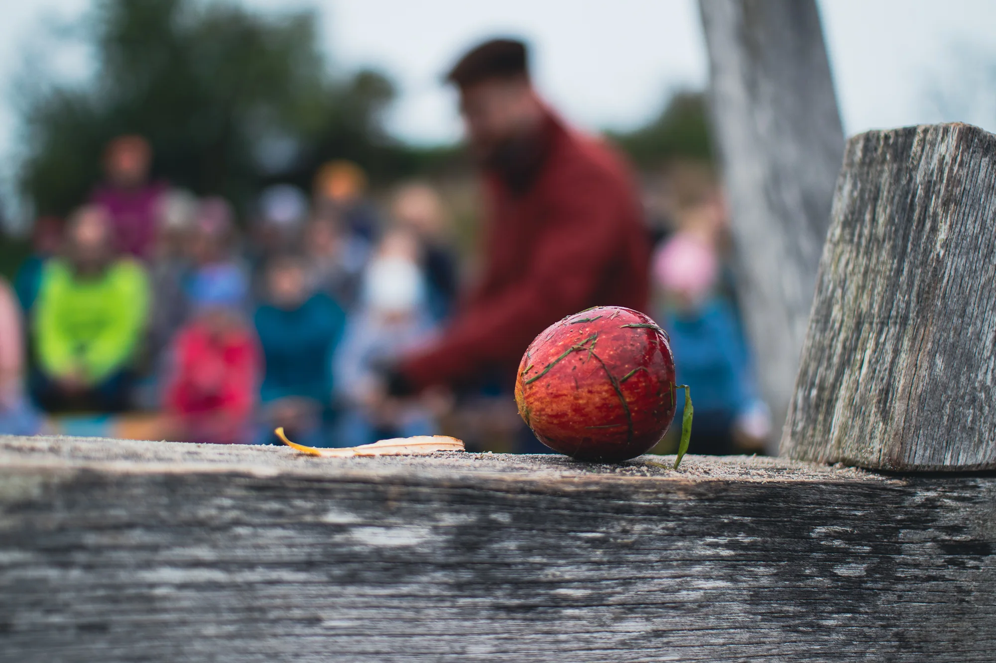 Herbstfest 2024