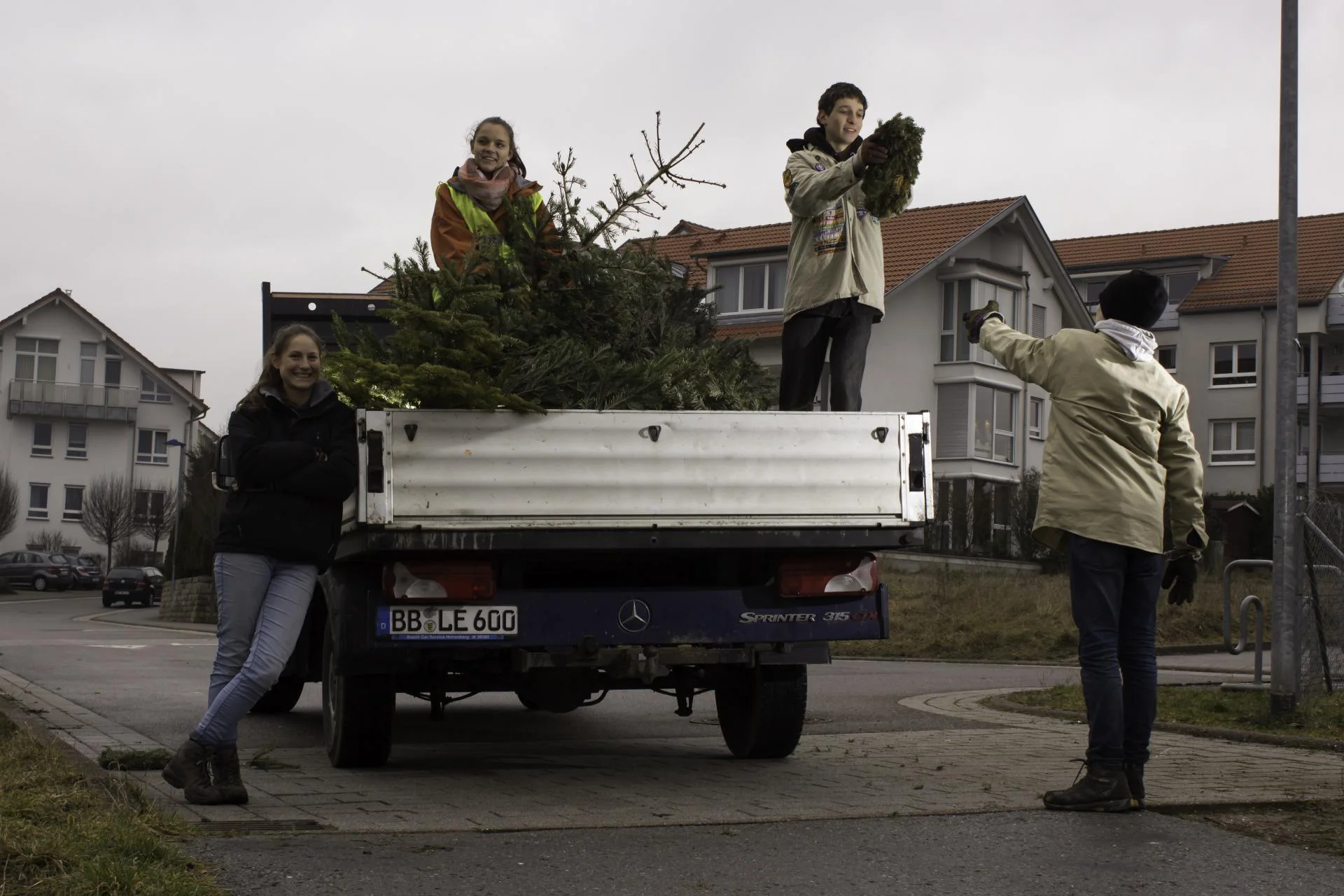 Tannenbaumsammlung 2016