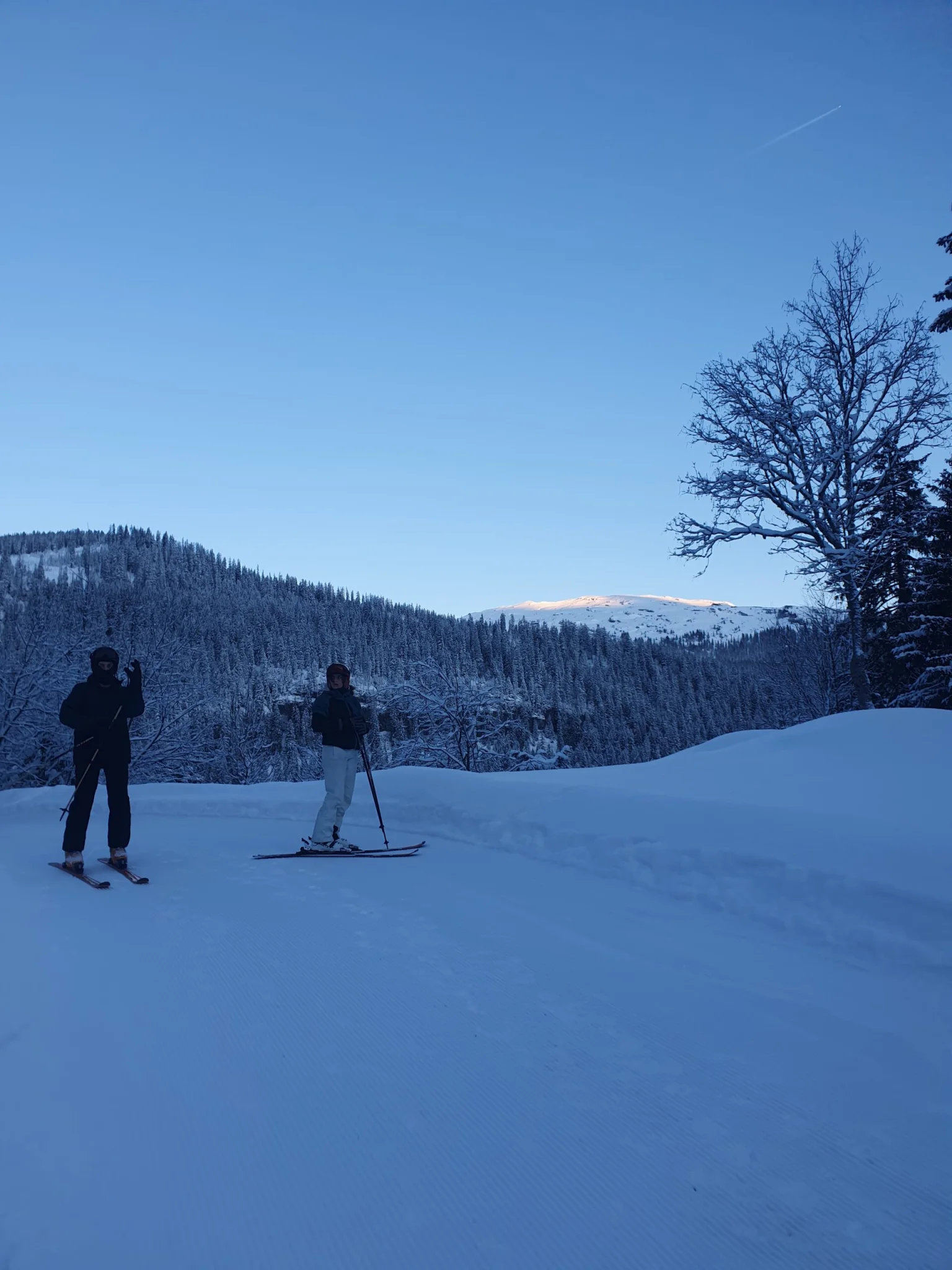 Ski-WE Rover 2024
